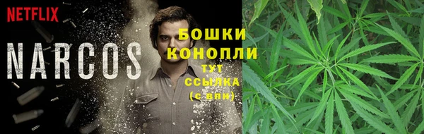 МДПВ Заводоуковск