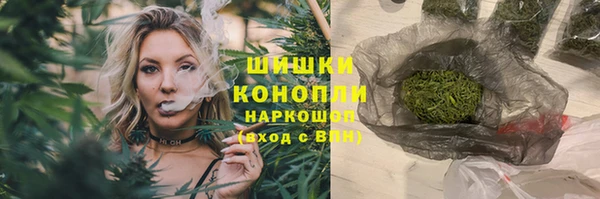 МДПВ Заводоуковск