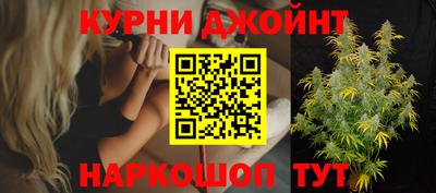 сатива Обь