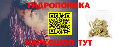 сатива Обь
