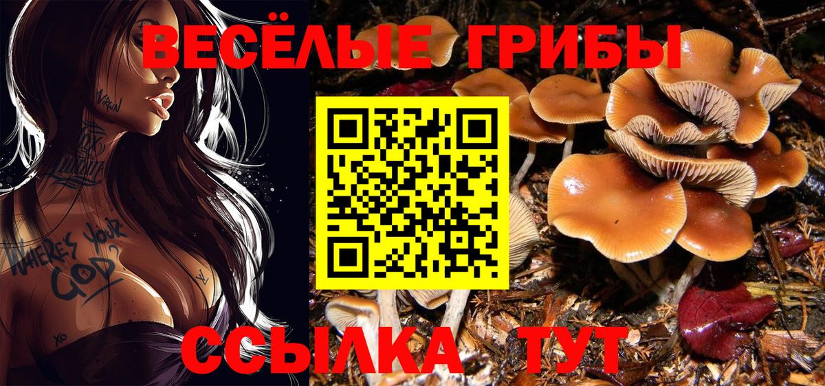Галлюциногенные грибы GOLDEN TEACHER  Вход с VPN  Подольск  Псилоцибиновые грибы MAGIC MUSHROOMS 