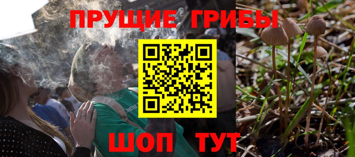 Галлюциногенные грибы GOLDEN TEACHER  Вход с VPN  Подольск  Псилоцибиновые грибы Psilocybine cubensis 